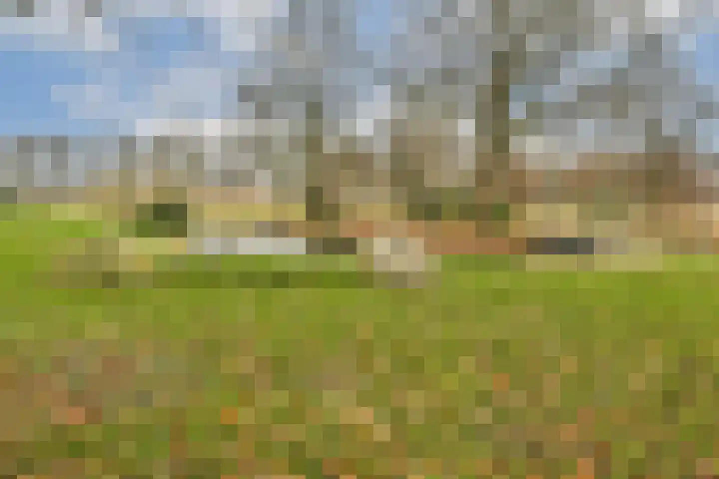 Lisdoddekreek 32 Leiderdorp thumbnail 34