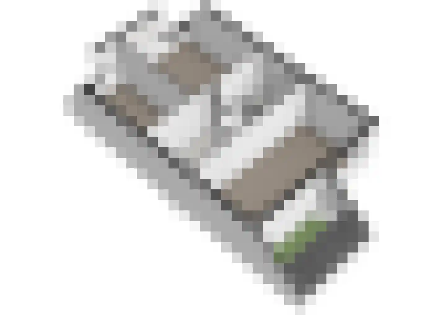 Lisdoddekreek 32 Leiderdorp thumbnail 40