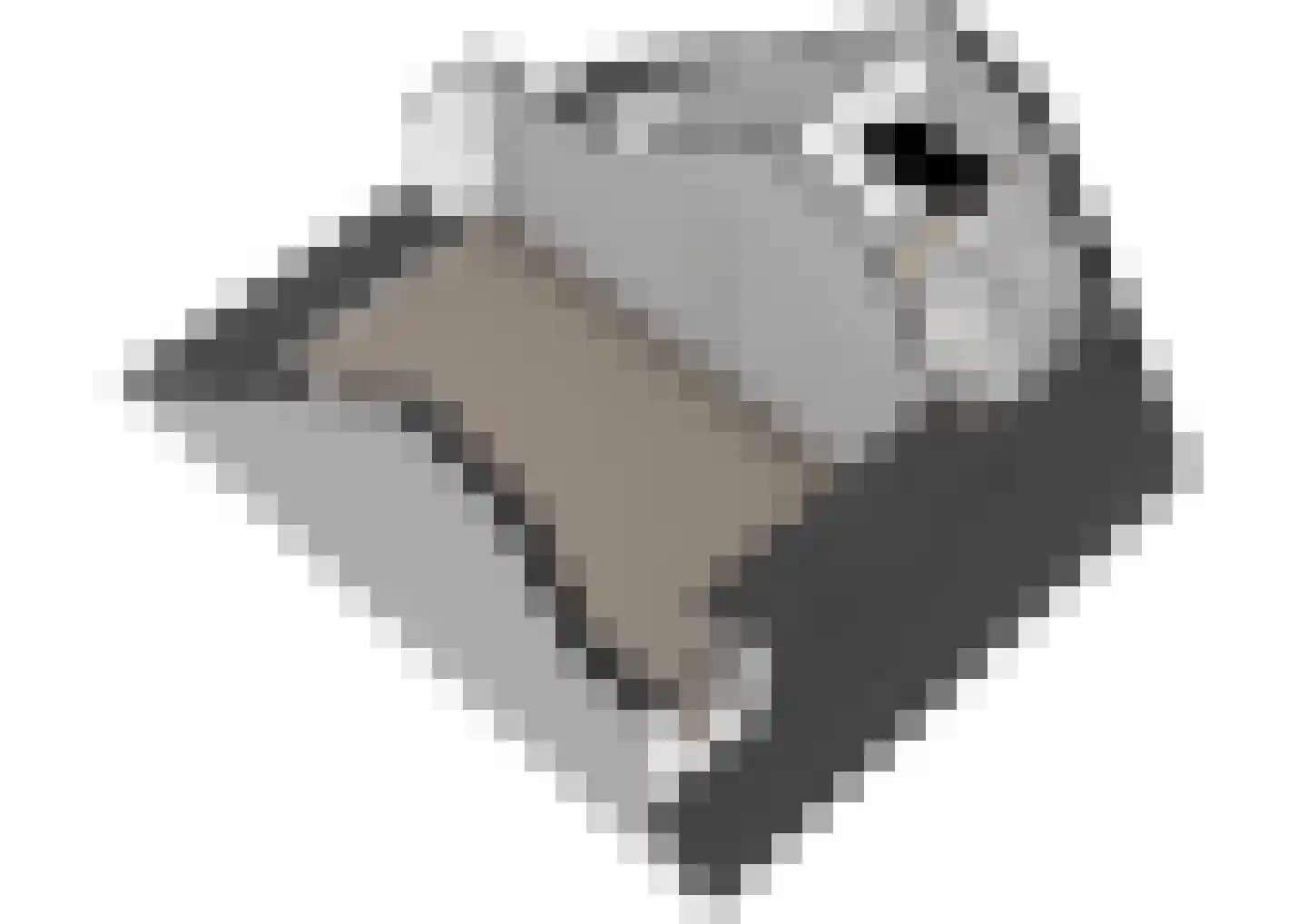 Lisdoddekreek 32 Leiderdorp thumbnail 44