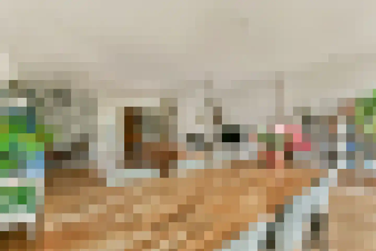 Lisdoddekreek 32 Leiderdorp thumbnail 6