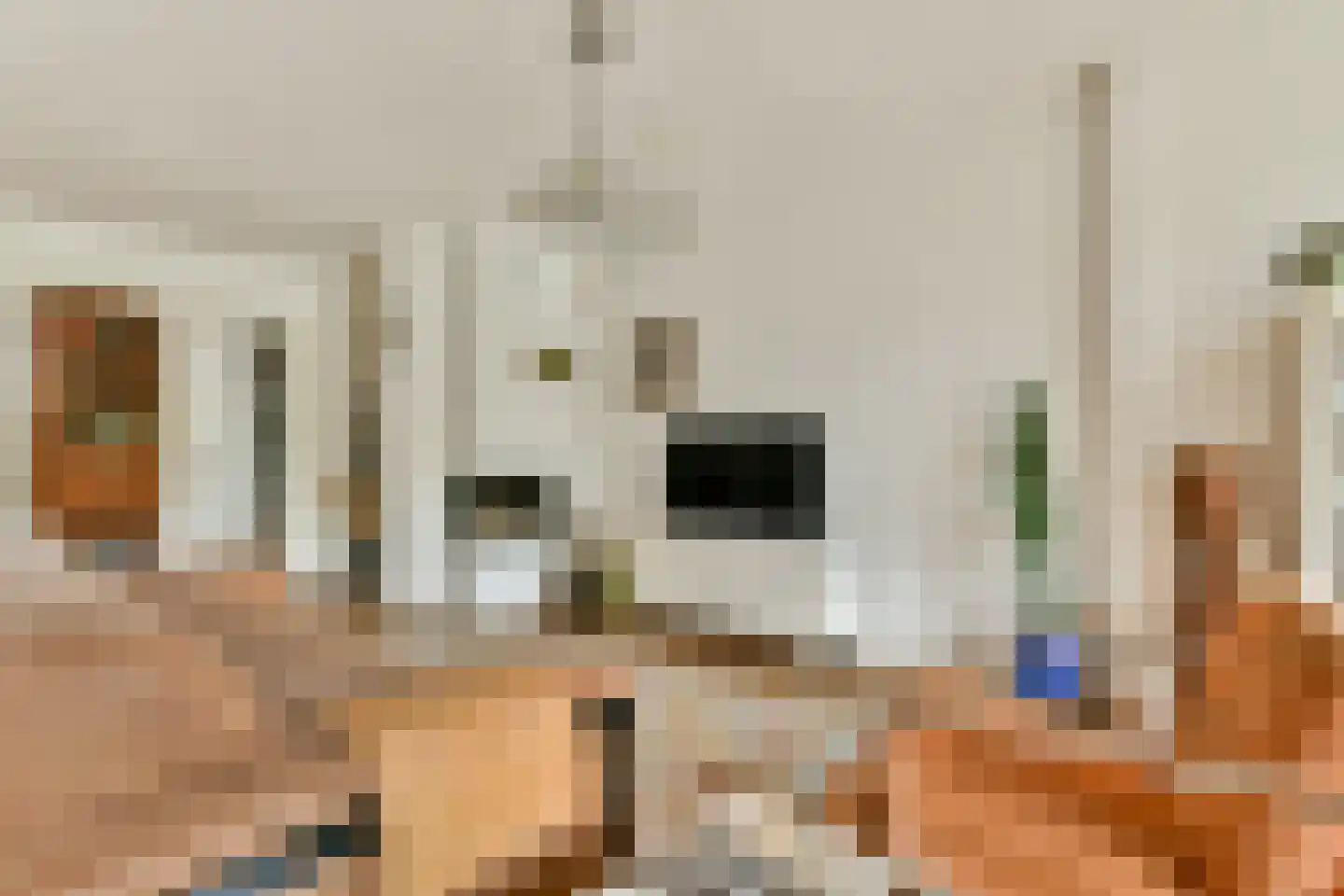 Lisdoddekreek 32 Leiderdorp thumbnail 7