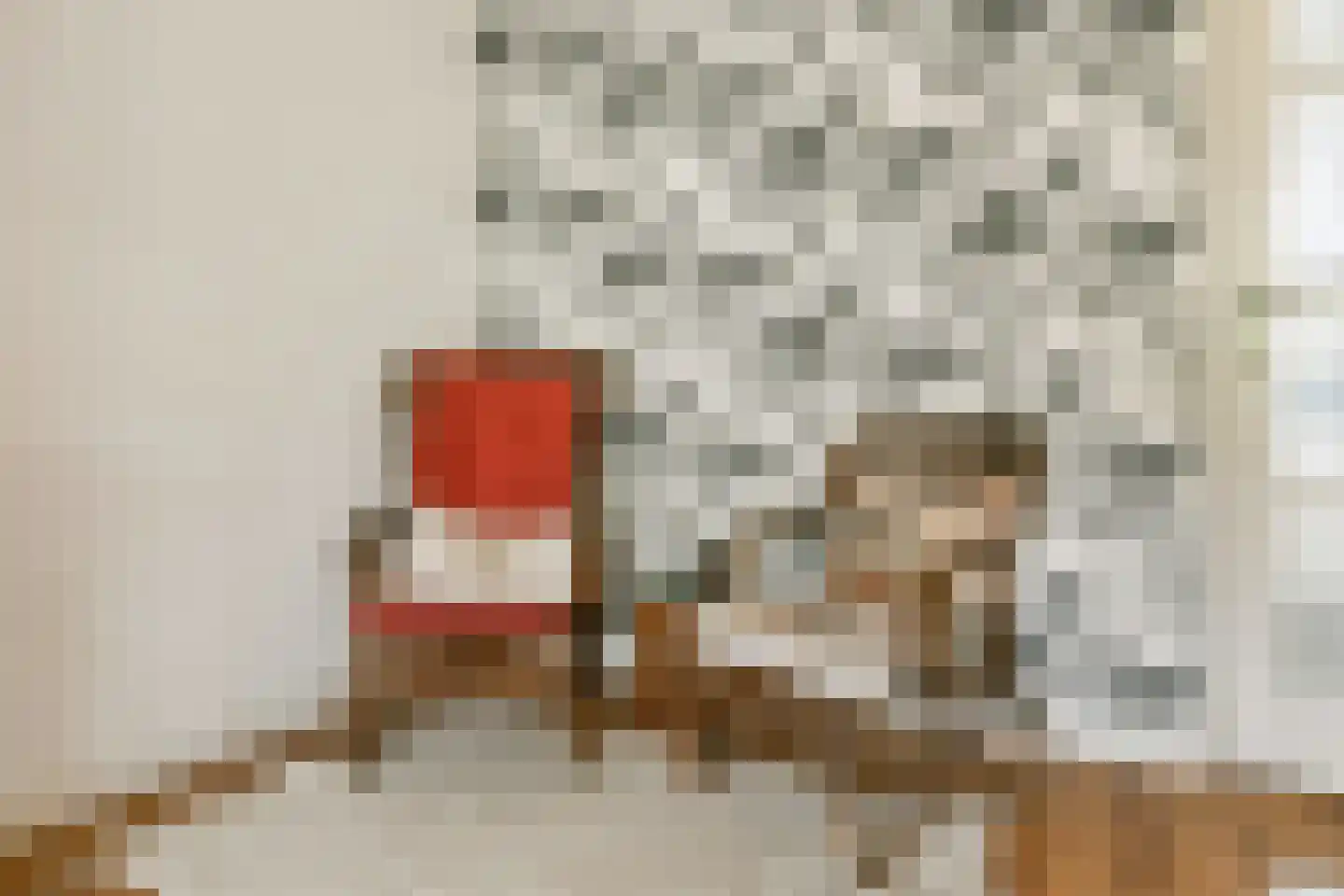 Lisdoddekreek 32 Leiderdorp thumbnail 8