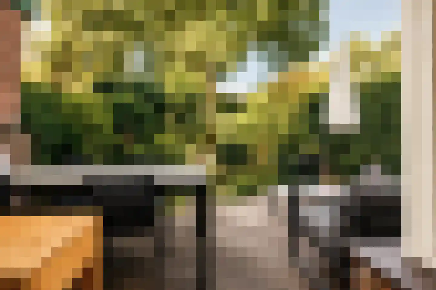 Lisdoddekreek 34 Leiderdorp thumbnail 13