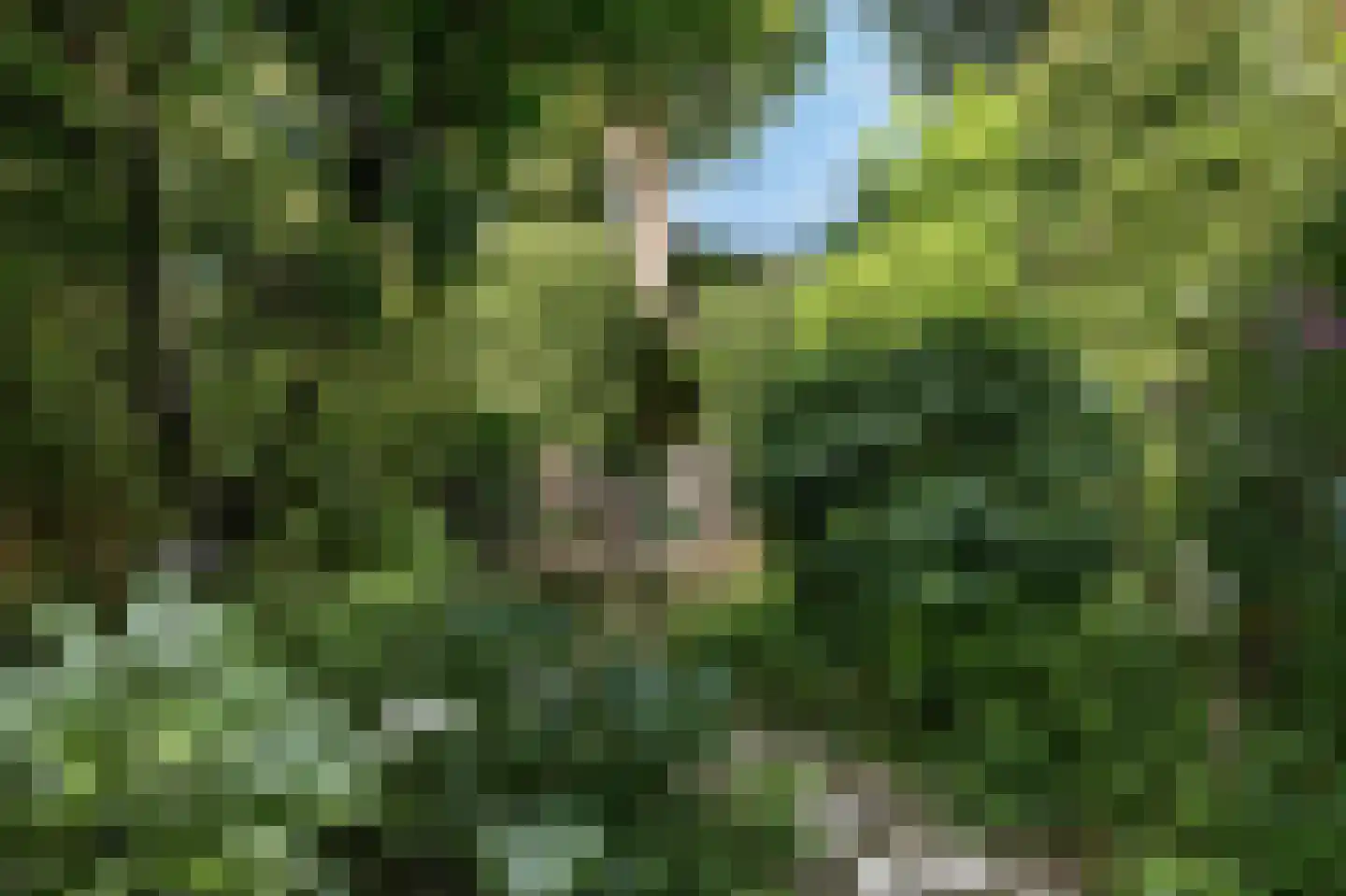 Lisdoddekreek 34 Leiderdorp thumbnail 14