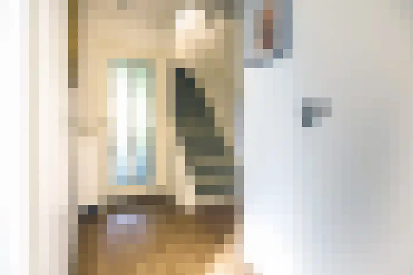 Lisdoddekreek 34 Leiderdorp thumbnail 16