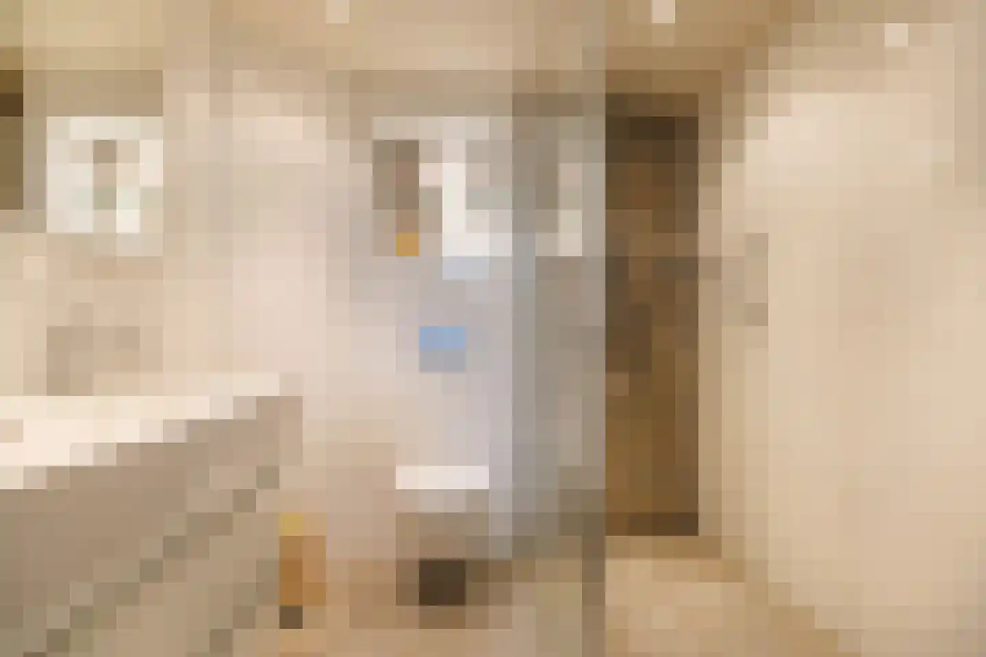 Lisdoddekreek 34 Leiderdorp thumbnail 26