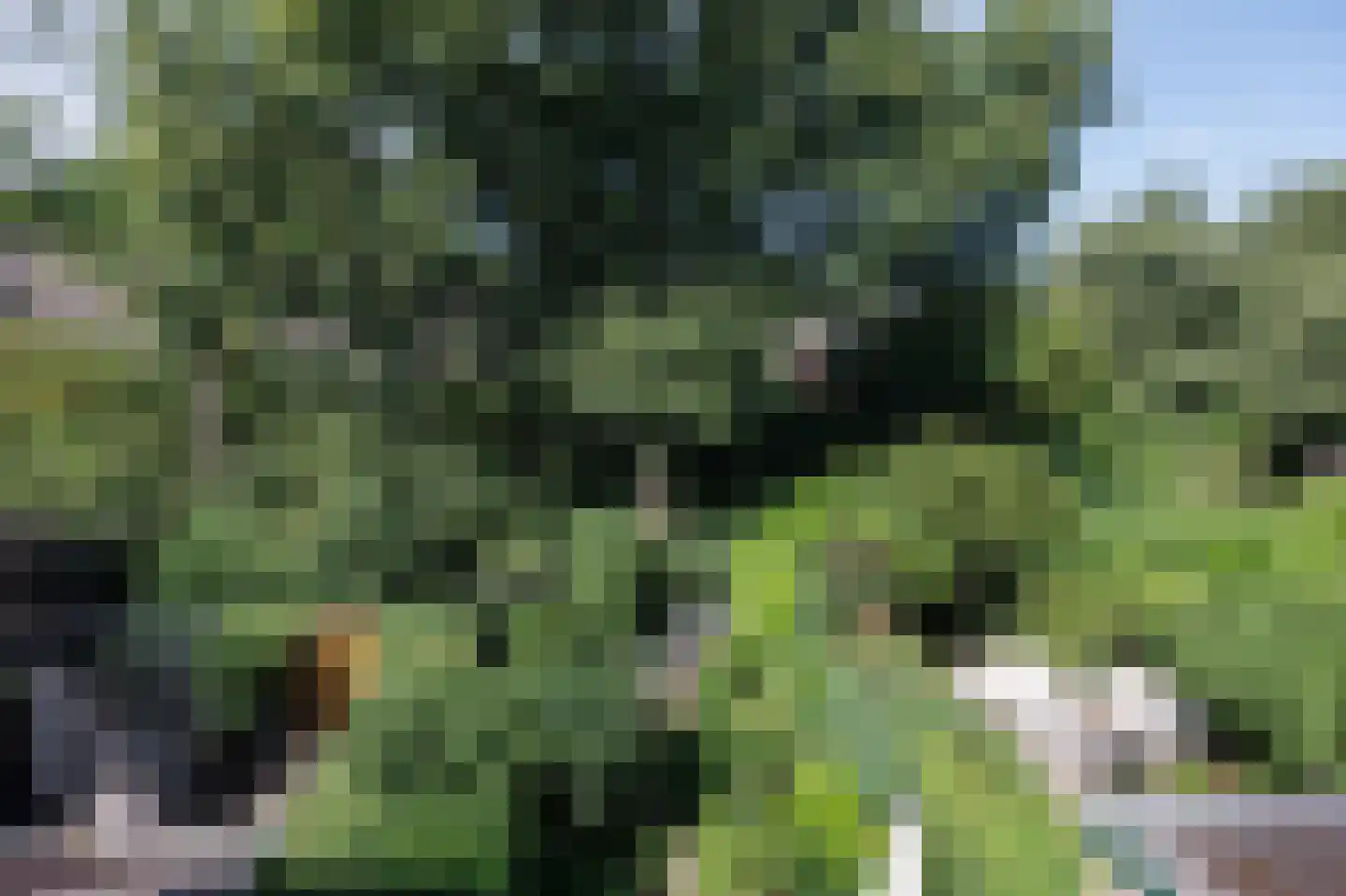 Lisdoddekreek 34 Leiderdorp thumbnail 34