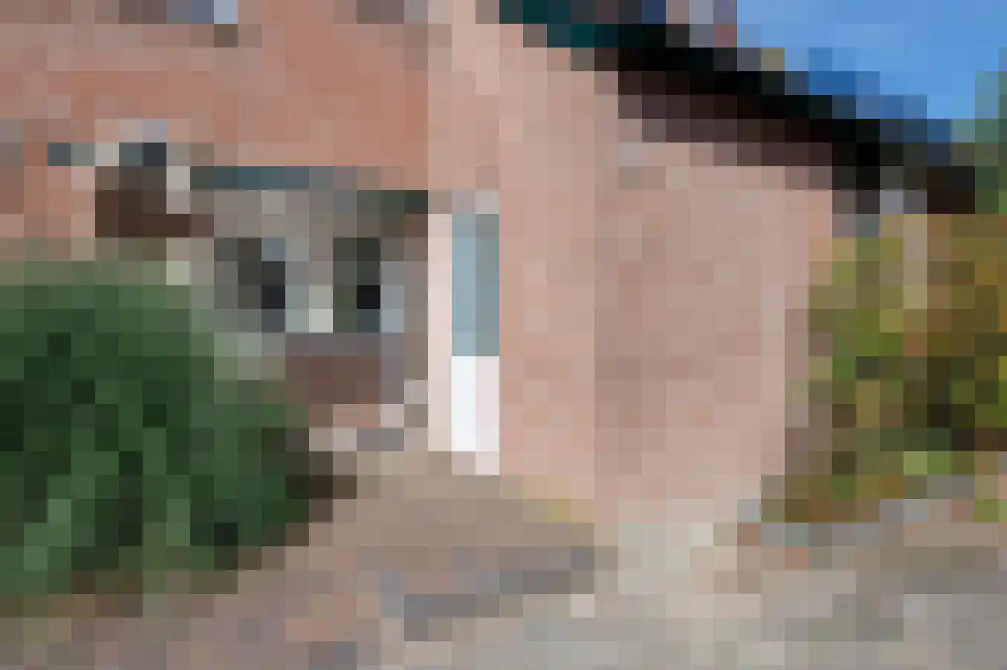 Lisdoddekreek 34 Leiderdorp thumbnail 35