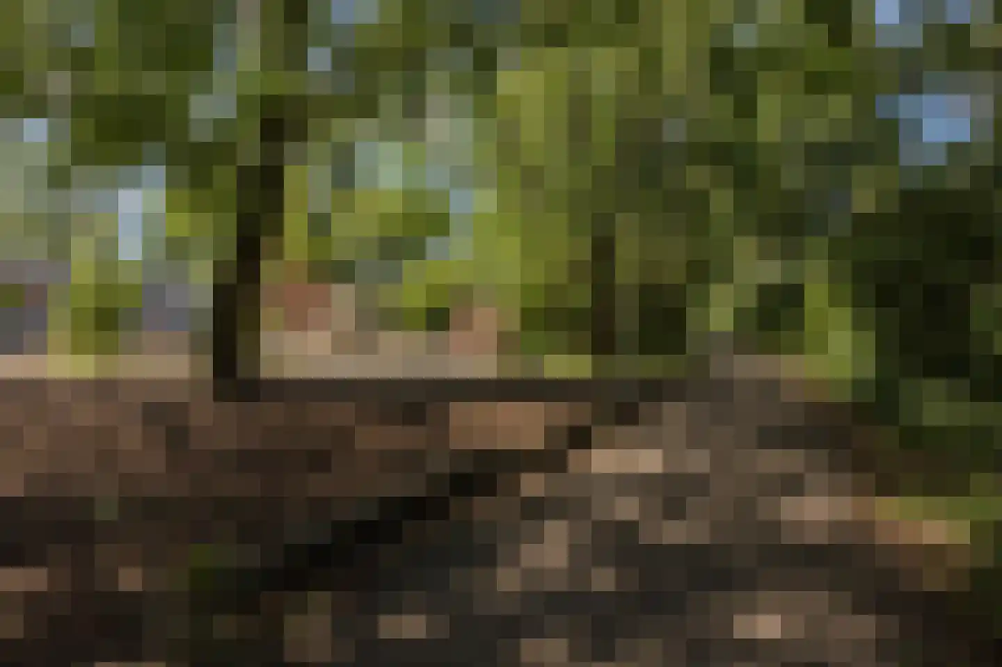 Lisdoddekreek 34 Leiderdorp thumbnail 38
