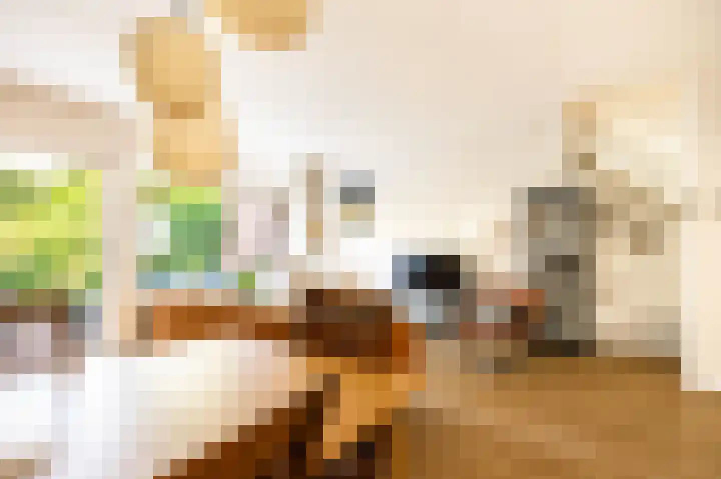 Lisdoddekreek 34 Leiderdorp thumbnail 6