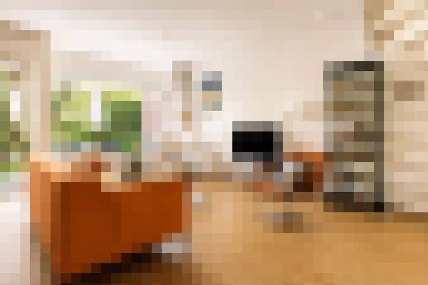 Lisdoddekreek 34 Leiderdorp thumbnail 8
