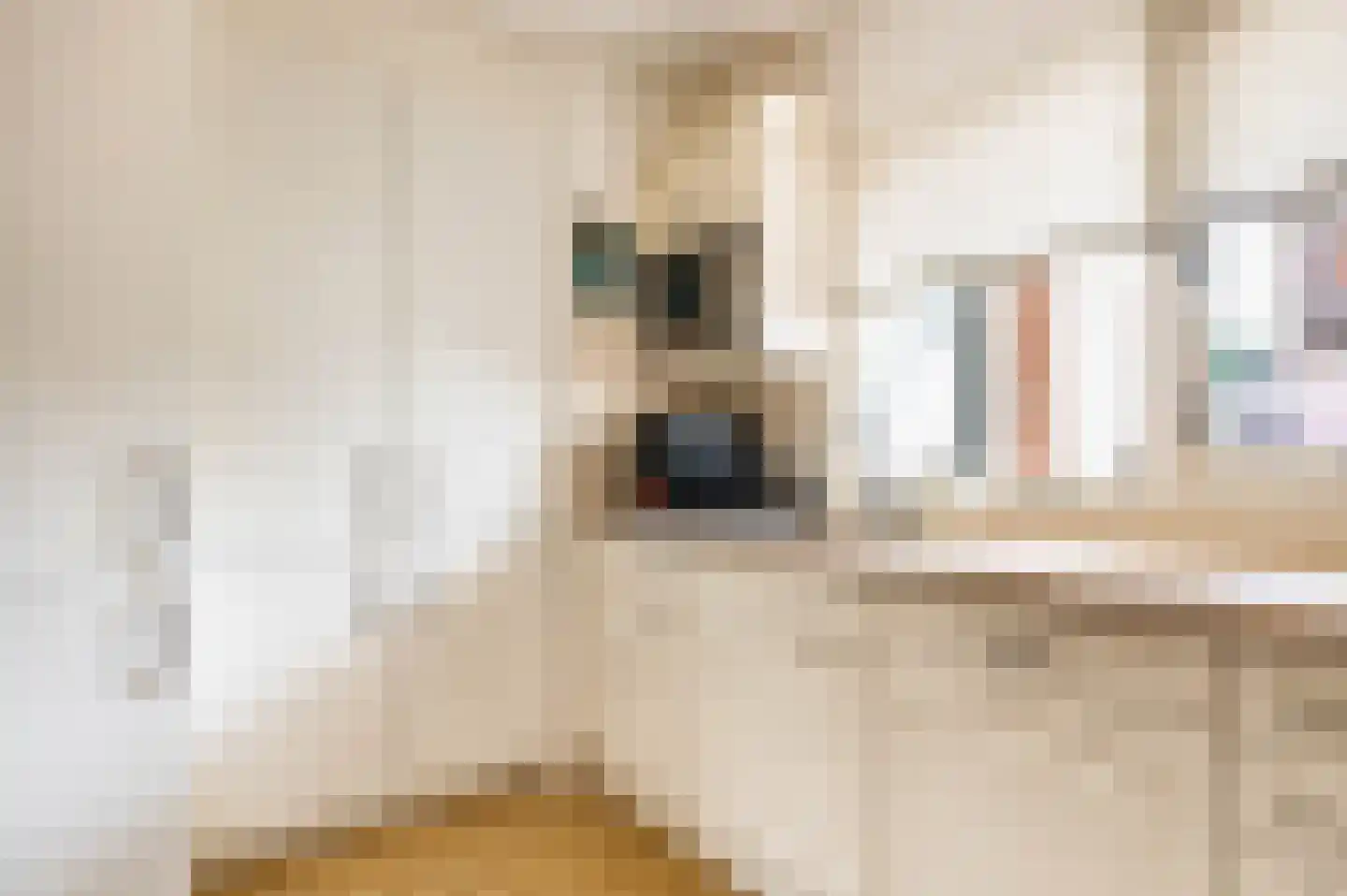 Lisdoddekreek 34 Leiderdorp thumbnail 9