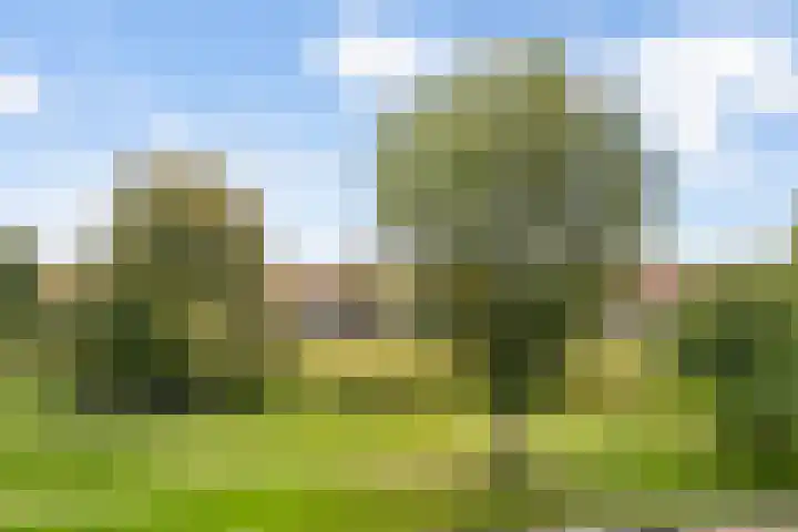 Lisdoddelaan 10 3 Arnhem thumbnail 10