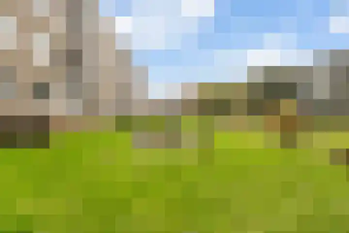 Lisdoddelaan 10 3 Arnhem thumbnail 23