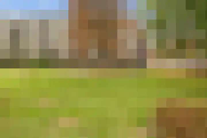 Lisdoddelaan 10 3 Arnhem thumbnail 25
