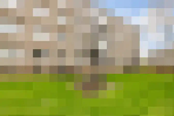 Lisdoddelaan 10 3 Arnhem thumbnail 27