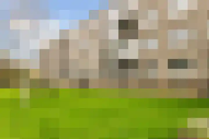 Lisdoddelaan 10 3 Arnhem thumbnail 28