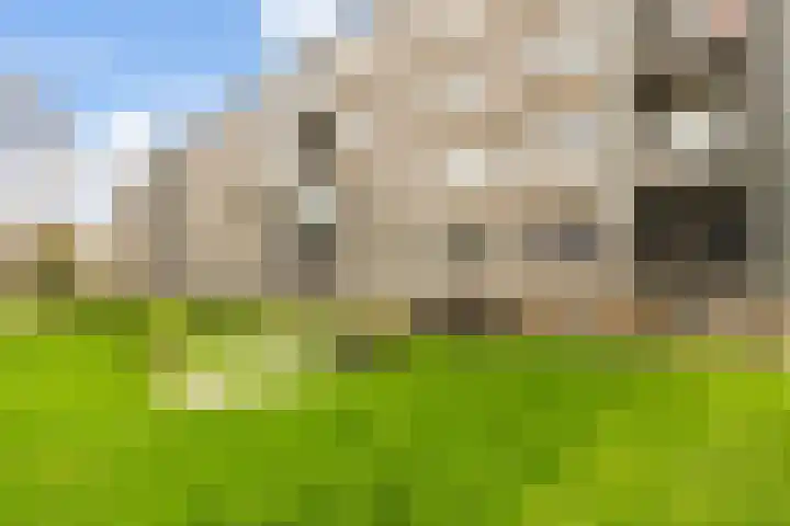 Lisdoddelaan 10 3 Arnhem thumbnail 29