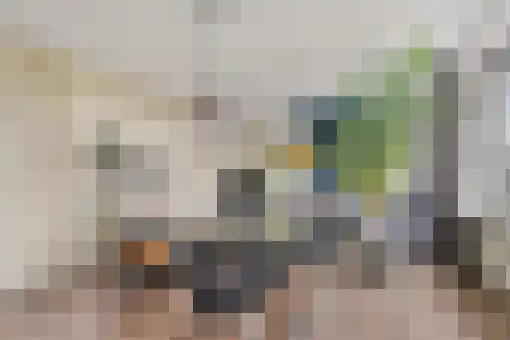 Lisdoddelaan 10 3 Arnhem thumbnail 5