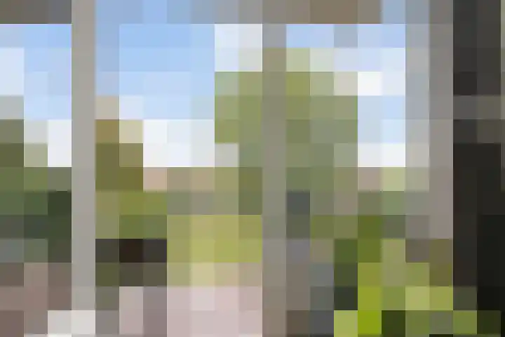 Lisdoddelaan 10 3 Arnhem thumbnail 8