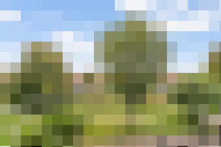 Lisdoddelaan 10 3 Arnhem thumbnail 9