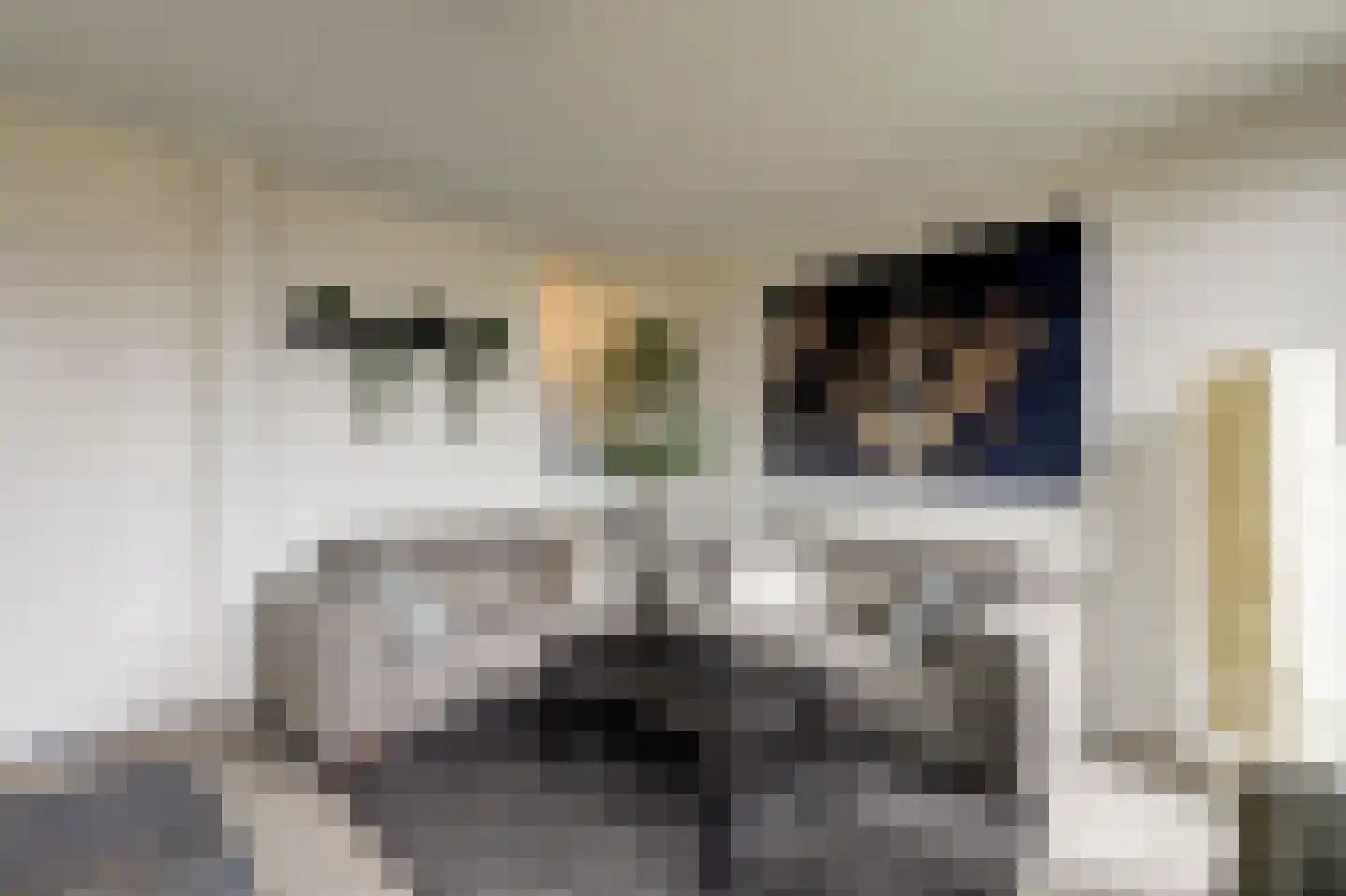 Lisdoddelaan 12 4 Arnhem thumbnail 8