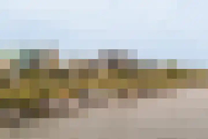 Lisdoddelaan 121 Amsterdam thumbnail 10