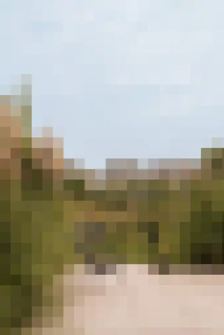 Lisdoddelaan 121 Amsterdam thumbnail 11