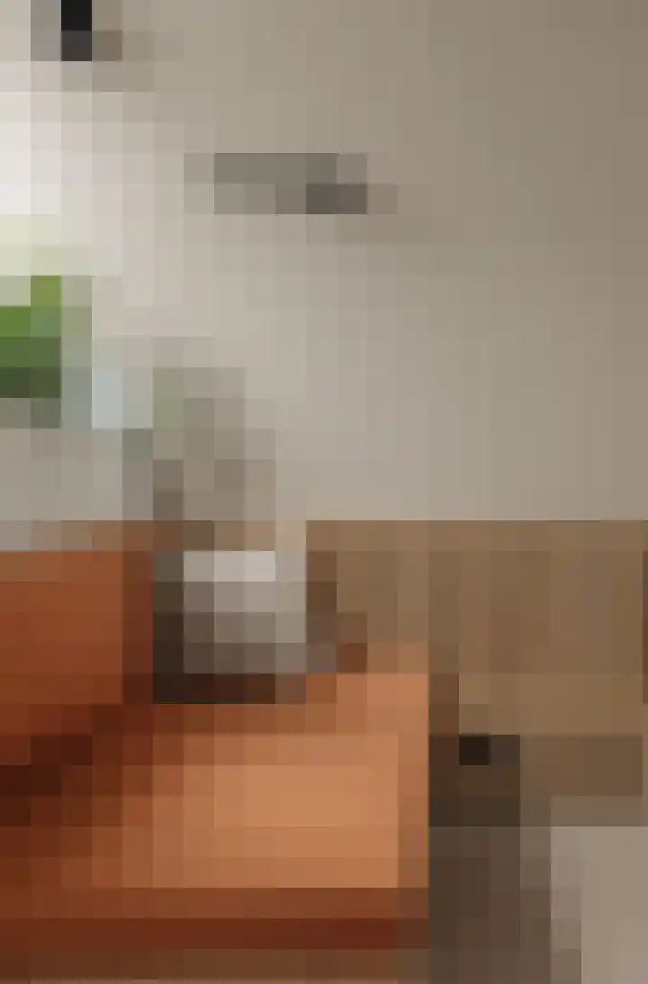 Lisdoddelaan 121 Amsterdam thumbnail 12