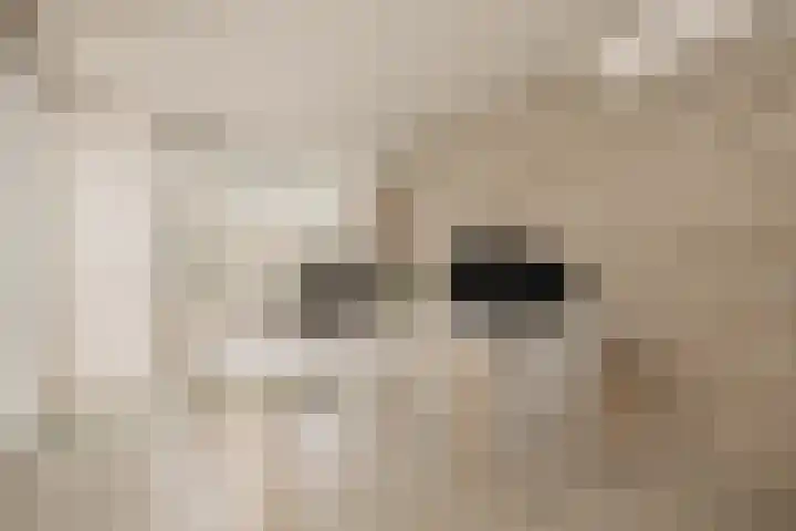 Lisdoddelaan 121 Amsterdam thumbnail 14