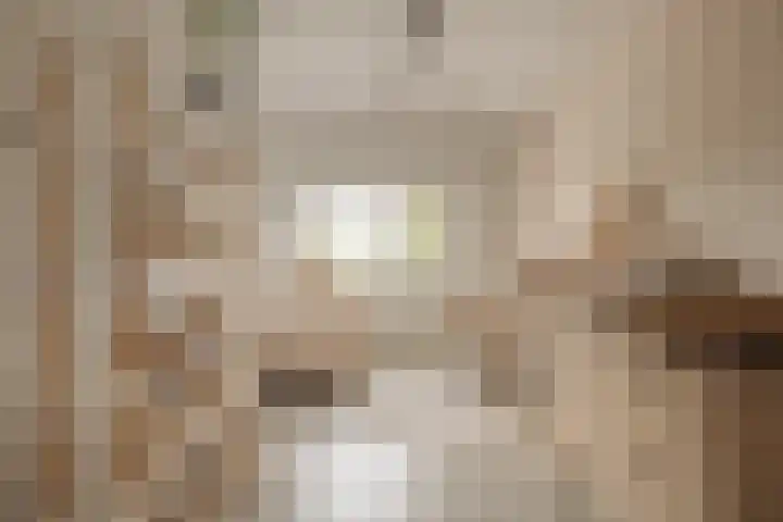 Lisdoddelaan 121 Amsterdam thumbnail 18