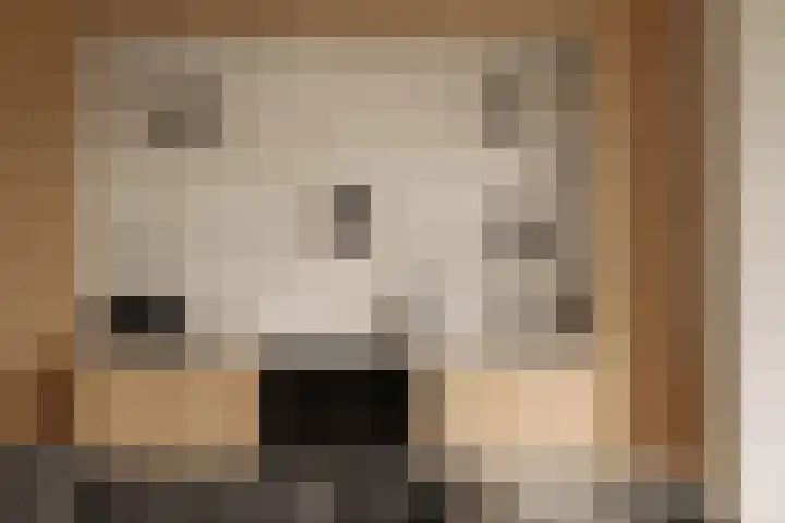 Lisdoddelaan 121 Amsterdam thumbnail 27