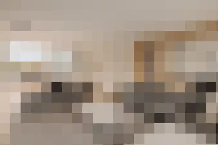 Lisdoddelaan 121 Amsterdam thumbnail 29
