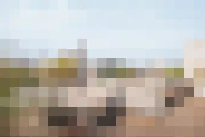 Lisdoddelaan 121 Amsterdam thumbnail 30