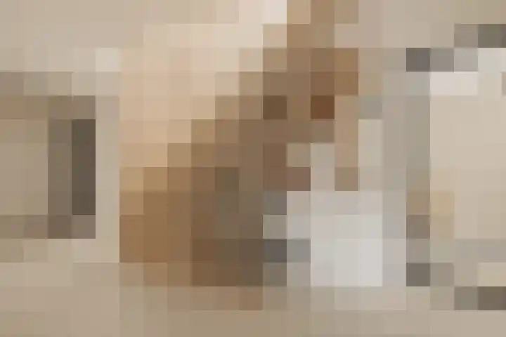 Lisdoddelaan 121 Amsterdam thumbnail 4
