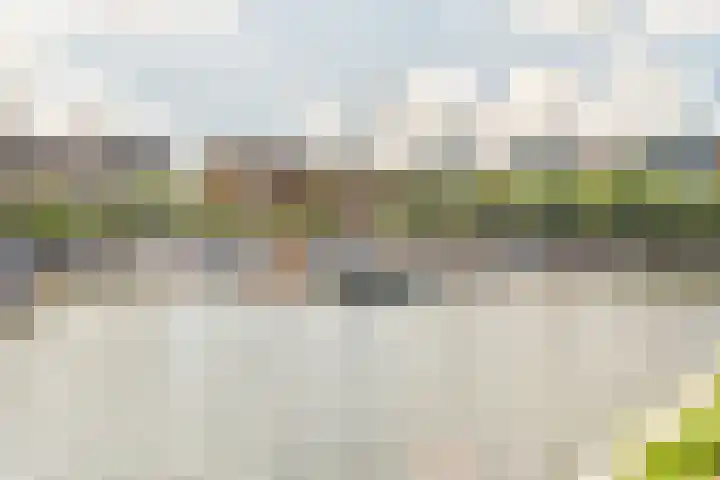 Lisdoddelaan 121 Amsterdam thumbnail 40