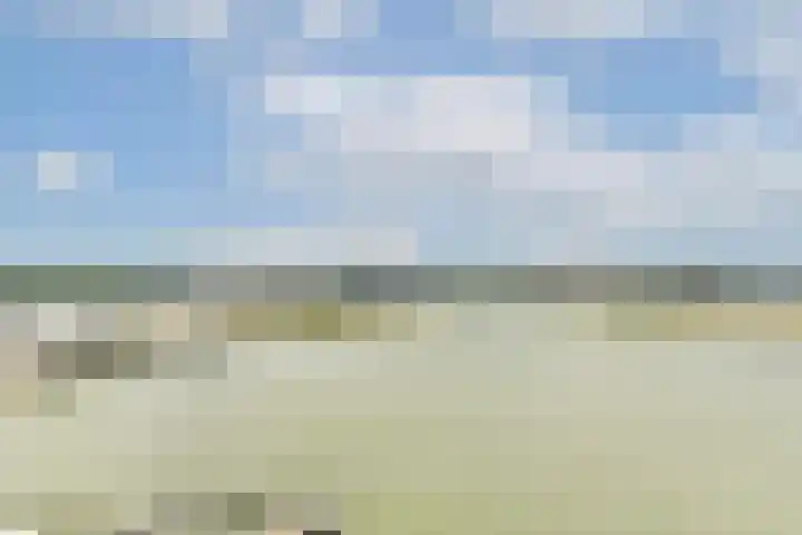 Lisdoddelaan 121 Amsterdam thumbnail 47