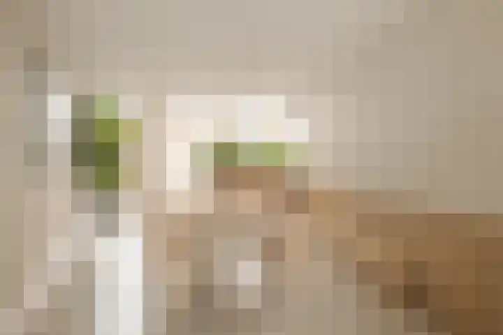 Lisdoddelaan 121 Amsterdam thumbnail 5