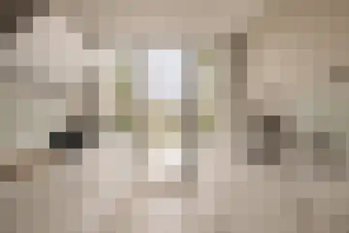 Lisdoddelaan 121 Amsterdam thumbnail 7
