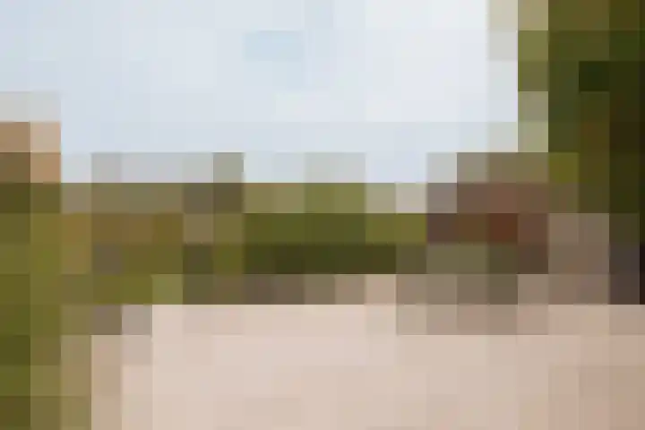 Lisdoddelaan 121 Amsterdam thumbnail 8