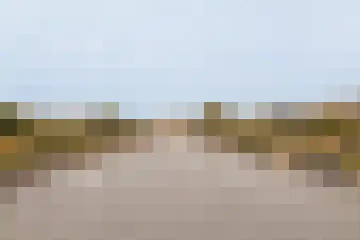 Lisdoddelaan 121 Amsterdam thumbnail 9