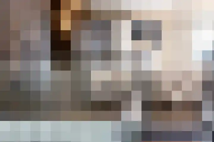 Lisdoddelaan 129 Amsterdam thumbnail 11