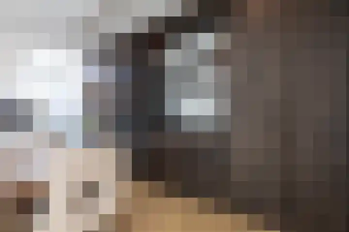 Lisdoddelaan 129 Amsterdam thumbnail 12