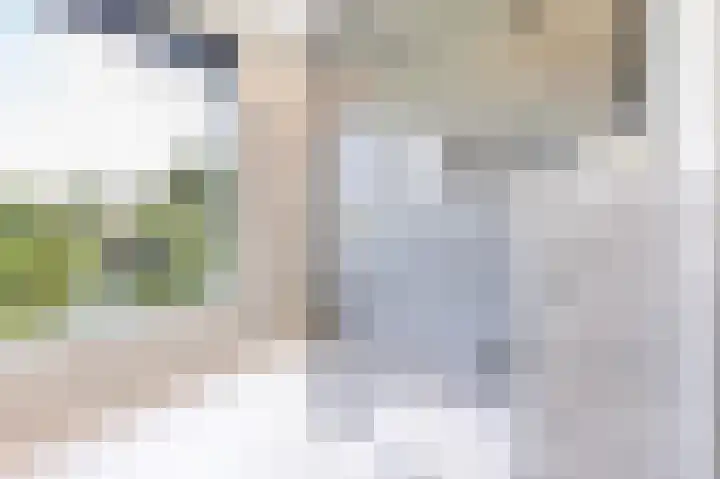 Lisdoddelaan 129 Amsterdam thumbnail 18