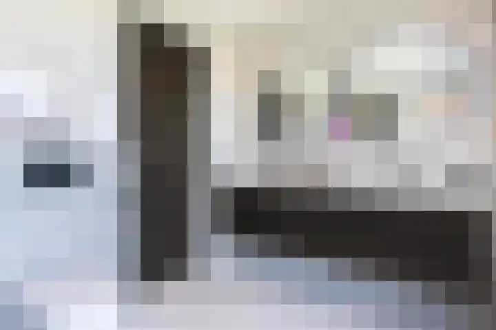 Lisdoddelaan 129 Amsterdam thumbnail 20