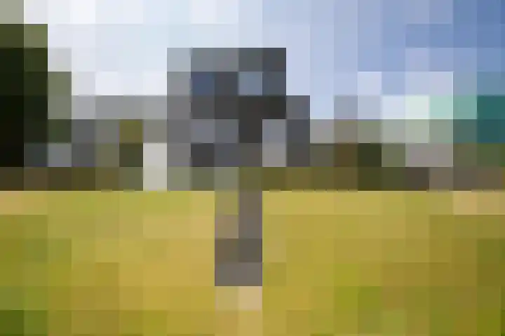 Lisdoddelaan 129 Amsterdam thumbnail 25