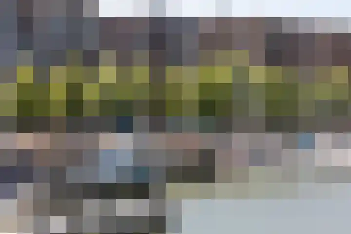 Lisdoddelaan 129 Amsterdam thumbnail 30