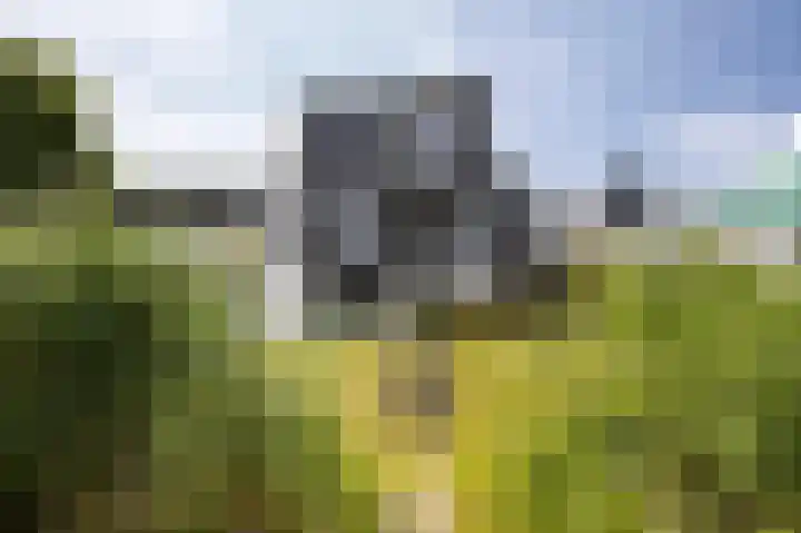 Lisdoddelaan 129 Amsterdam thumbnail 38