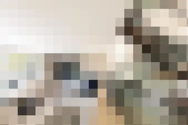 Lisdoddelaan 129 Amsterdam thumbnail 6