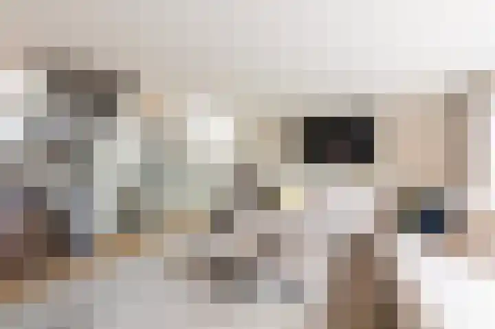 Lisdoddelaan 129 Amsterdam thumbnail 8